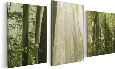 Artaza Canvas Schilderij Drieluik Bos Met Bomen En Zonneschijn - 120x60 - Foto Op Canvas - Canvas Print