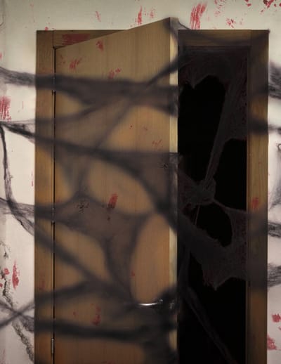 ATOSA - Zwarte spinnenweb met spinnen Halloween