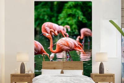 Behang - Fotobehang Flamingo - Tropisch - Vogel - Water - Roze - Breedte 170 cm x hoogte 260 cm