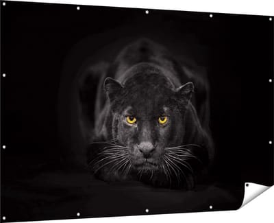 Gards Tuinposter Zwarte Panter met Oranje Ogen - 180x120 cm - Tuindoek - Tuindecoratie - Wanddecoratie buiten - Tuinschilderij