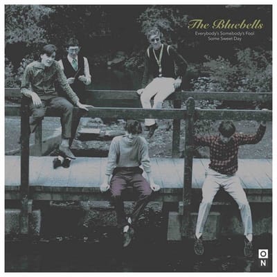 Bluebells - Everybody's Somebody's Fool (7" Single) (Limited Edition) (Coloured Vinyl)
