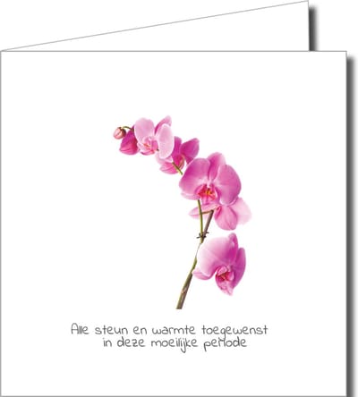 Condoleance Wenskaarten Pakket – 12 Stuks met Fotografische Afbeeldingen van Natuur en Rust (14,5 x 14,5 cm)