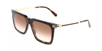 Ferragamo SF2077SLBI Dark tortoise 59/14/145 MAN Zonnebrillen