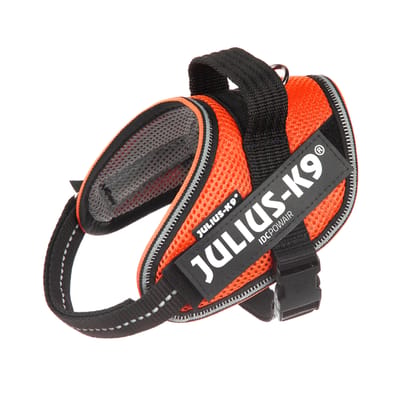 JULIUS-K9 IDC® POWAIR harnas - oranje - Maat XL/2: Borstomvang 71-96 cm