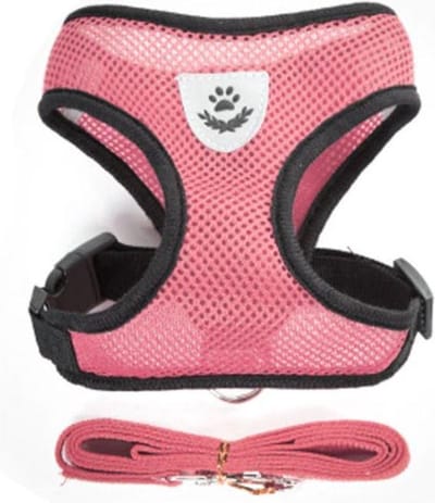 Hondentuig Maat XS - Honden harnas - Uitlaten - Reflecterend - Hondenaccesoires - Buiten - Kleine honden - Pomeriaan - Chihuahua - Wandelen - Roze