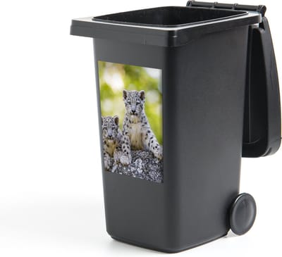 Container sticker Luipaard - Welpen - Stenen - 40x60 cm - Kliko sticker