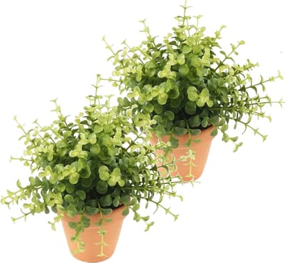 Kunstplant eucalyptus - 2x - groen - in terracotta pot - 20 cm