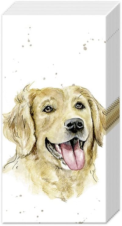 IHR Zakdoeken 6 pakjes - Farmfriends 'Dog' Golde retriever