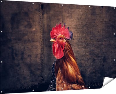 Gards Tuinposter Haan van Dichtbij - 180x120 cm - Tuindoek - Tuindecoratie - Wanddecoratie buiten - Tuinschilderij