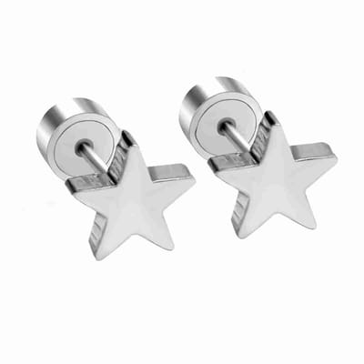 WeLoveSilver - oorstekers - ster - chirurgisch staal - zilverkleurig - 6 mm