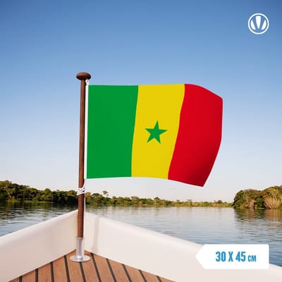 vlag Senegal 30x45cm