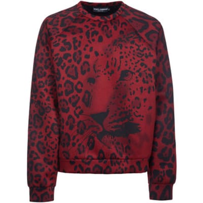 Trui D&amp;G -