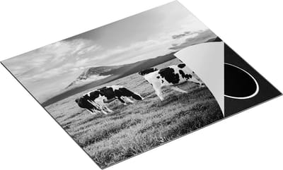 Chefcare Inductie Beschermer Koeien in de Wei - Zwart Wit - 60x50 cm - Afdekplaat Inductie - Kookplaat Beschermer - Inductie Mat