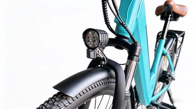 Ostrichoo BC15 elektrische stadfiets (citybike) - Mint - 250W motor - 36V/10,4AH accu