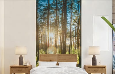 Behang - Fotobehang Zon - Bomen - Landschap - Gras - Breedte 120 cm x hoogte 240 cm
