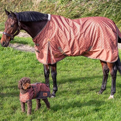 Harry's Horse Regendeken Met Fleece Sierra - 205