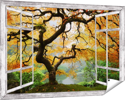 Gards Tuinposter Doorkijk Oude Knoestige Boom - 150x100 cm - Tuindoek - Tuindecoratie - Wanddecoratie buiten - Tuinschilderij