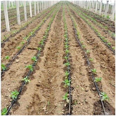 Druppelslang tape - Micro irrigatie - Planten water geven - Gladde waterband - 30 meter - Groen