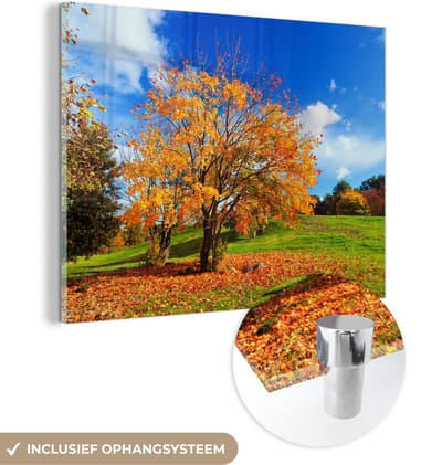 MuchoWow® Glasschilderij 40x30 cm - Schilderij acrylglas - Boom - Bladeren - Herfst - Seizoenen - Foto op glas - Schilderijen