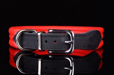 Dog's Companion Leren Halsband - Lengte: 40 cm Verstelbaar van 32-37 cm x 25 mm - Rood