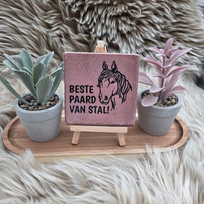 Robuust Tegeltje – Beste Paard van Stal – 10x10 cm – Cadeau voor Paardenliefhebber of Tophulp – Wanddecoratie - Trendy nu - Paard