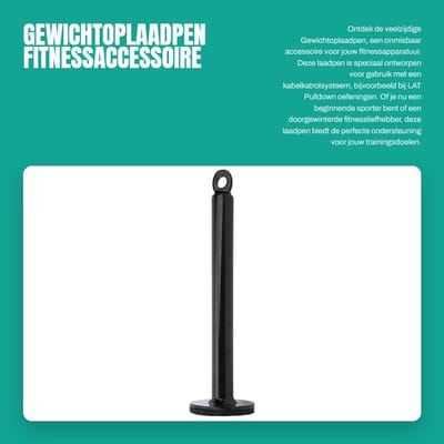 Dailygoods- Gewichtoplaadpen 100 kg - Laadpen - Roestvrij staal - Fitnessaccessoire - Halterschijf - Gloednieuw