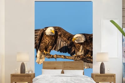 Behang - Fotobehang Vogel - Takken - Arend - Roofvogels - Lucht - Breedte 225 cm x hoogte 350 cm