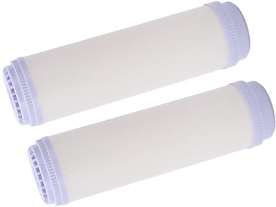 Dailygoods- Waterfilter 2 Stuks - Grote Stroom - Ultrafilter Cartridge - Vervangend voor Waterzuiveraar - ABS Materiaal - Lange Levensduur