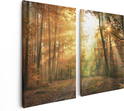 Artaza Canvas Schilderij Tweeluik Herfstbos Met Zonneschijn - 80x60 - Foto Op Canvas - Canvas Print