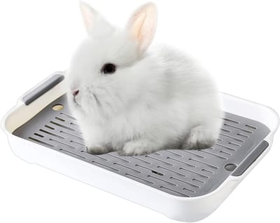 Dieren Toilet voor Konijnen, Cavia's, Hamsters en Chinchilla's - Plastic Bak met Grondzeef voor Kleine Huisdieren (Wit, S)