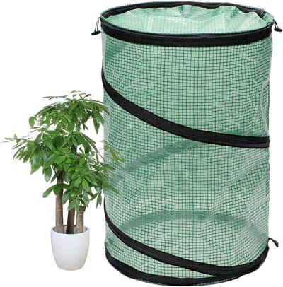 Kleine kas - Kamerplant tent - Planten beschermen - Pop-up ontwerp - 50x68cm - Groen