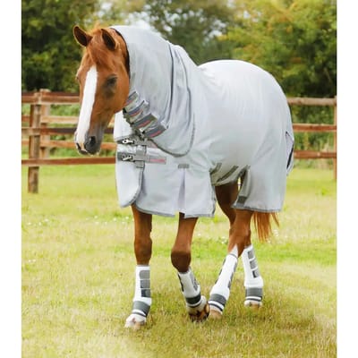 Vliegendeken voor pony met buikflap Premier Equine Bug Buster