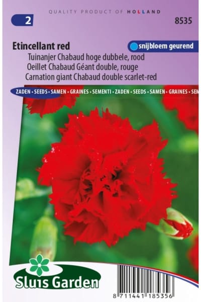 Sluis Garden - Tuinanjer, Anjer Chabaud Etincellant Red (Dianthus)
