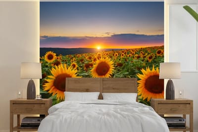 Behang - Fotobehang Bloemen - Nacht - Zonsondergang - Zonnebloem - Horizon - Breedte 280 cm x hoogte 280 cm
