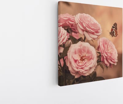 Saammp Canvas Schilderij - Vlinder bij roze rozen - Bloemen - Dieren - Natuur - 20x20 - Foto op canvas - Wanddecoratie - muurdecoratie Woonkamer - Slaapkamer decoratie - Canvas Print