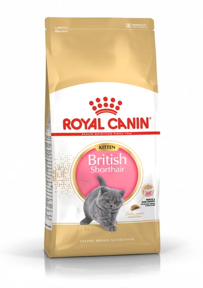 Royal Canin British Shorthair Kitten - Kattenvoer - 400g - Brits korthaar