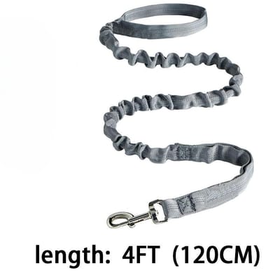 Laisse pour chien d'entraînement à amorti élastique Preuve d'explosion Accessoires pour la promenade du chien pour chiens de taille moyenne à grande gris
