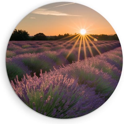 Saammp Muurcirkel Hout - Lavendelveld tijdens zonsopgang - Natuur - Landschap - Ø 90 - Wandcirkel - Wanddecoratie Cirkel - Muurdecoratie Woonkamer - Slaapkamer decoratie - Rond Schilderij
