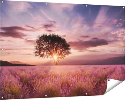 Gards Tuinposter Bloemenveld met Lavendel bij Zonsondergang - 150x100 cm - Tuindoek - Tuindecoratie - Wanddecoratie buiten - Tuinschilderij
