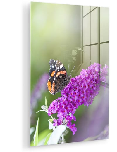 ® Glasschilderij 120x180 cm - Schilderij acrylglas - Close up van de vlinderstruik - Foto op glas - Muurdecoratie woonkamer - Wanddecoratie slaapkamer - Schilderijen