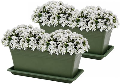 Plasticforte Plantenbakken met water opvangschotels - donkergroen - 2x stuks - 40 x 18 x 15 cm - tuin - balkon - terras - rechthoek
