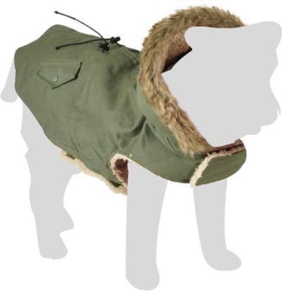 Flamingo Winterjas Lennox Groen - Hondenkleding - A:45 B:40-46 C:60-70 cm
