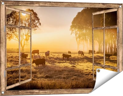 Gards Tuinposter Doorkijk Kudde Koeien in de Wei met Zonsopkomst - 90x60 cm - Tuindoek - Tuindecoratie - Wanddecoratie buiten - Tuinschilderij