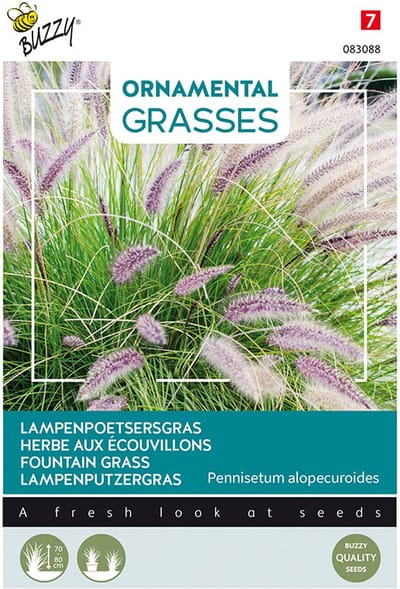 Buzzy zaden - Lampenpoetsersgras - Pennisetum alopecuroides | Ornamental Grasses