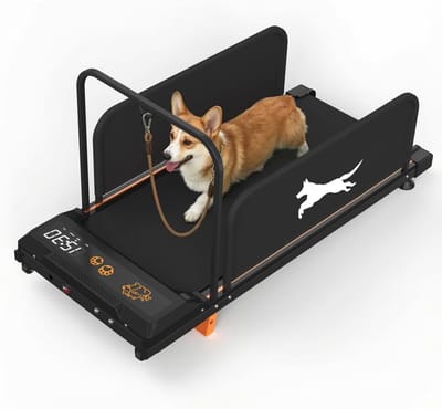Huisdier Loopband - Honden Trainingsband - Binnen Fitness - Stille Krachtige Motor - 100x40cm Loopvlak - Zwart
