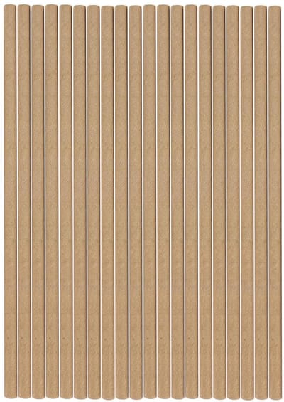 Dailygoods- Papieren Rietjes - Set van 100 Stuks - Biologisch Afbreekbaar - Milieuvriendelijk - Voor Feesten - 20 cm Lang - Geschikt voor Koude en Warme Dranken - Feestrietjes