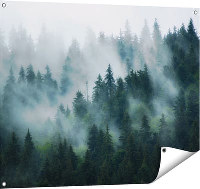 Gards Tuinposter Bos met Bomen in de Mist - 100x80 cm - Tuindoek - Tuindecoratie - Wanddecoratie buiten - Tuinschilderij