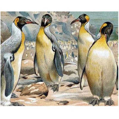 5D Diy diamant schilderen kruissteek ingelegd IJslandse pinguïn strass diamant borduurwerk 20X30CM beige
