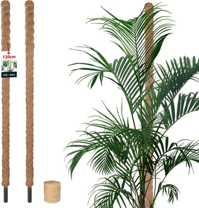 KOTARBAU® 2 st Kokosstok, Plantenstok, ⌀ 3,2 x 120 cm, Kokosstaaf, Klimhulp Monstera, Bruin, Kokosvezel, Klimhulp, Plantenstaaf, Kokosstok voor Monstera, Kokosstaaf voor Klimplanten
