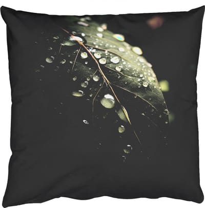 Sierkussens - Kussentjes Woonkamer - 50x50 cm - Blad - Groen - Nerven - Regendruppels